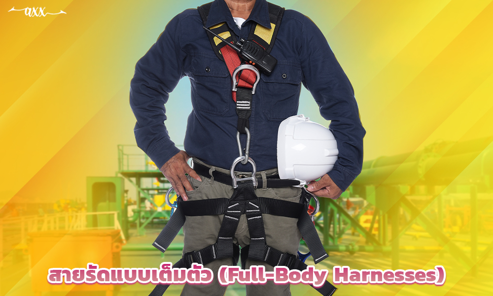2.สายรัดแบบเต็มตัว (Full-Body Harnesses) copy